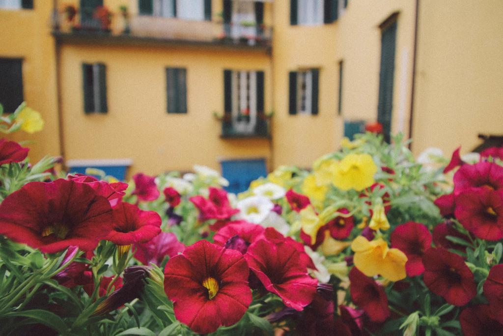 Bed and Breakfast Martindago Florenz Exterior foto